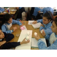 Proyecto de 6to. grado A y B: LA CÉLULA, ORIGEN DE LA VIDA